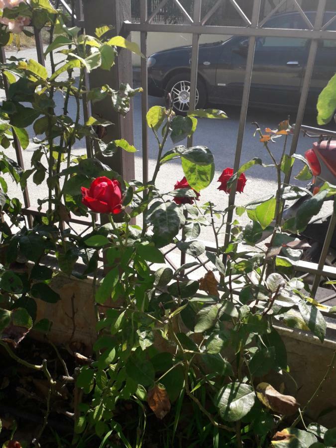 Skála KallirákhisRoses别墅 外观 照片